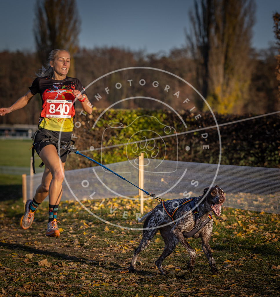 CaniXpix_DV3A3640 | Hundefotografie, Tierfotograf, Pfotenfotografie, Fotoshooting Hund, Hunde Portrait, Hundesport, Hundeportraits, Heideshooting, Hunde, Sportfotograf, Hundefotograf, Turnierhundsport, THS,  - Realisiert mit Pictrs.com
