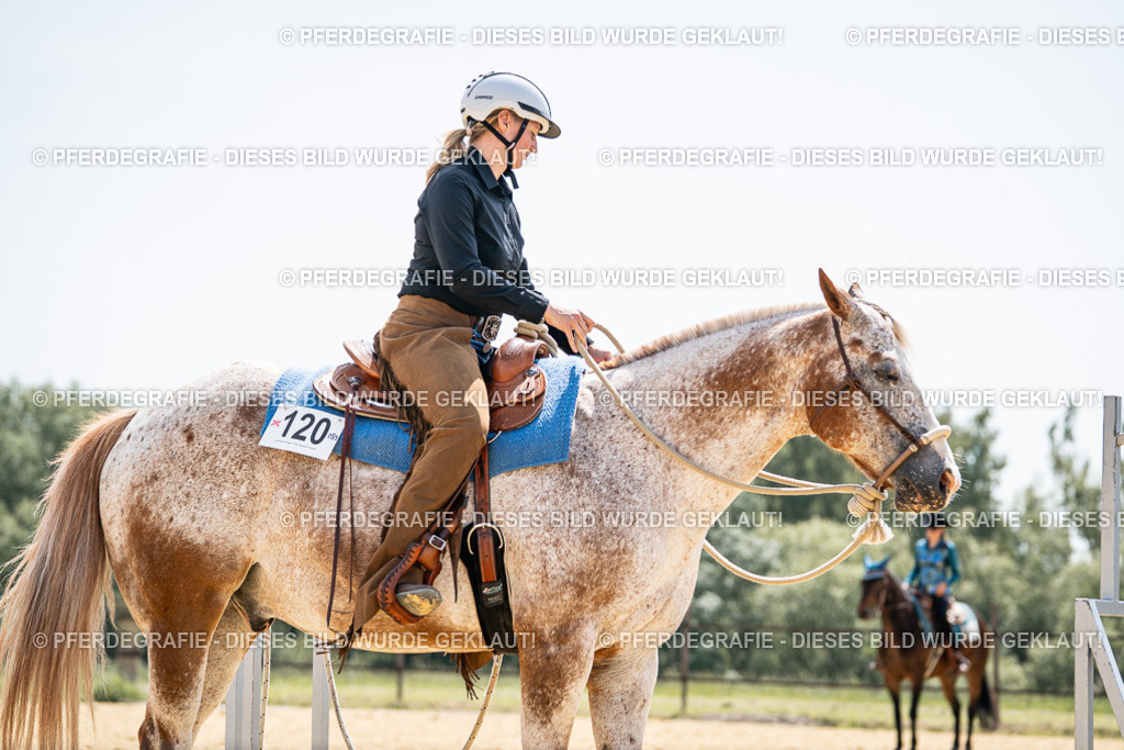 DSC00608 | Pferdegrafie