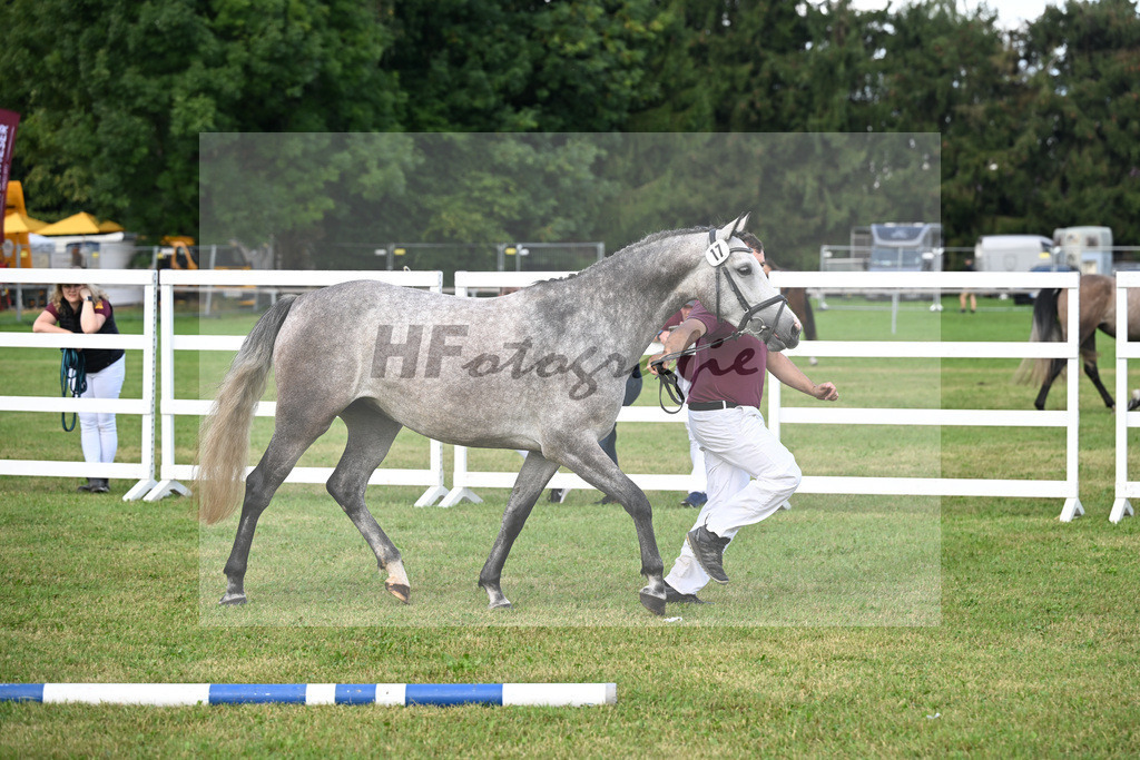 Kat-Nr. 17 Gitty Pauline v. Vingino_Hoffmeister_30250279 | hf-fotografie - Realizzato con Pictrs.com