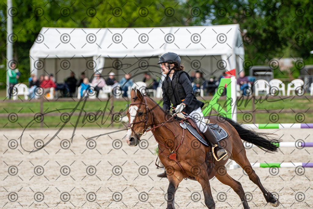 KPT_7178 | andre_photographic