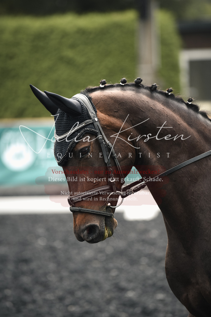 DSC_4657 | Pferde- und Turnierfotografie in Westsachsen. Pferdeportraits, Auftragszeichnungen und intuitive Kunst.