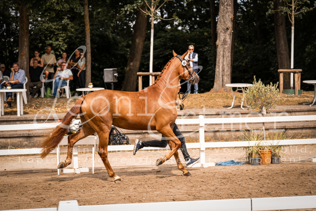 5.Fr00057 | Leoni Ertmer Photography - Realisiert mit Pictrs.com