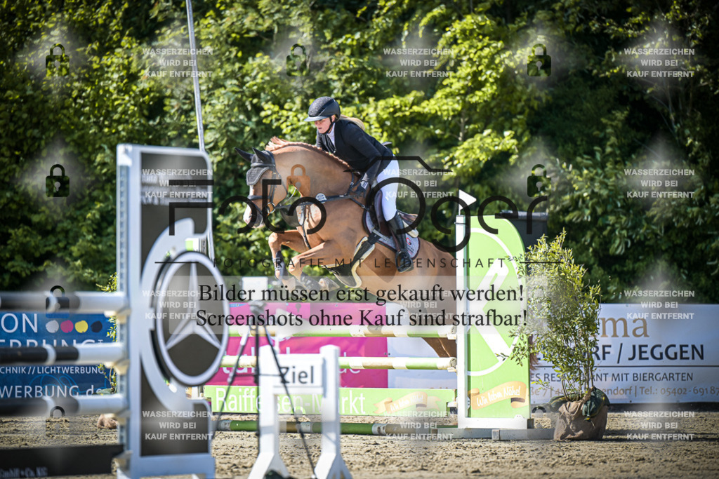 DOS_9028 | Entdecke hochwertige Reitturnierfotos von Foto Oger. Professionell, emotional und authentisch – jetzt Lieblingsmomente im Shop bestellen.Deutschlandweite Turnierfotografie. - Realisiert mit Pictrs.com