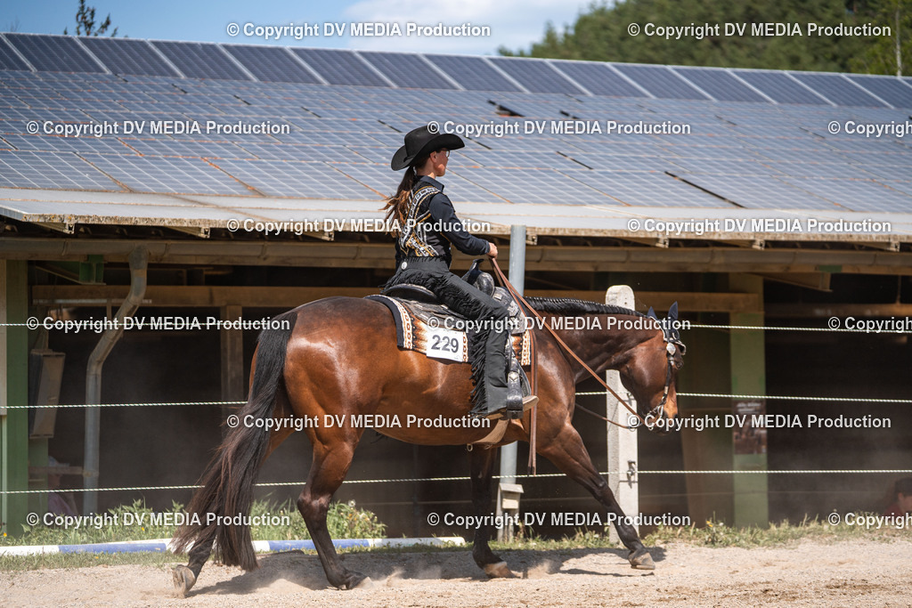 Balingen Tag 2-1158 | dv-media-shop - Realisiert mit Pictrs.com