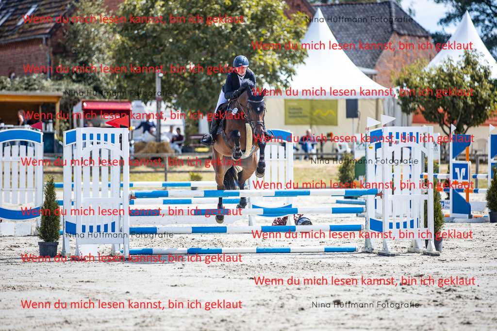 BK1A5080 | Turnierbilder Turnierfotos Nina Hüffmann Turnierfotografie Pferdefotografie Tierzeichnung Haustierzeichnung Pferdezeichnung Hundezeichnung Videograf  - Realisiert mit Pictrs.com