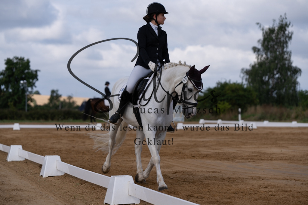 A7V05169 | Pferdefotograf