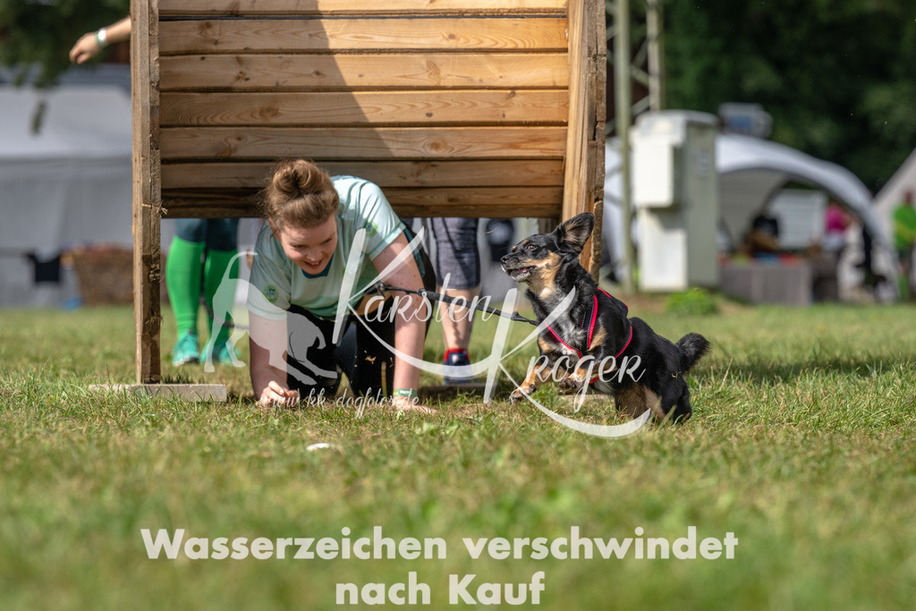 1211_ZZ92886 | kk-dogfotos