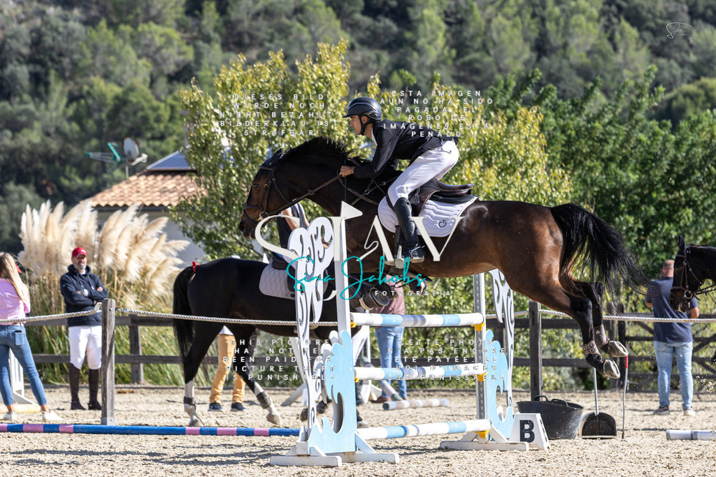 IMG_0317 | s-jay-photography - Realisiert mit Pictrs.com