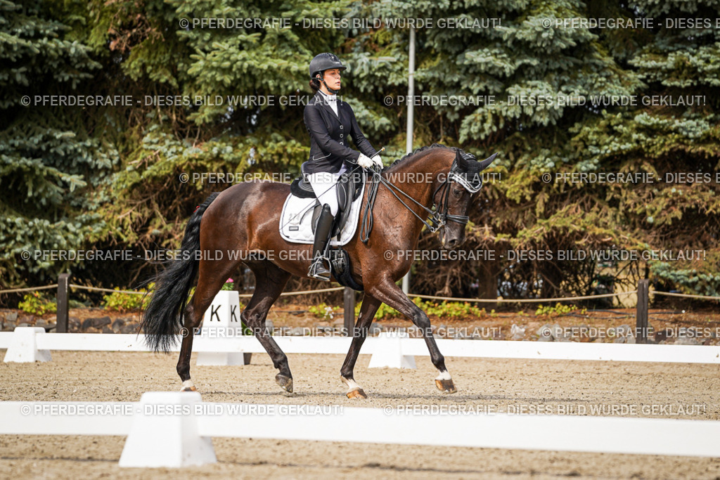 DSC06284 | Pferdegrafie