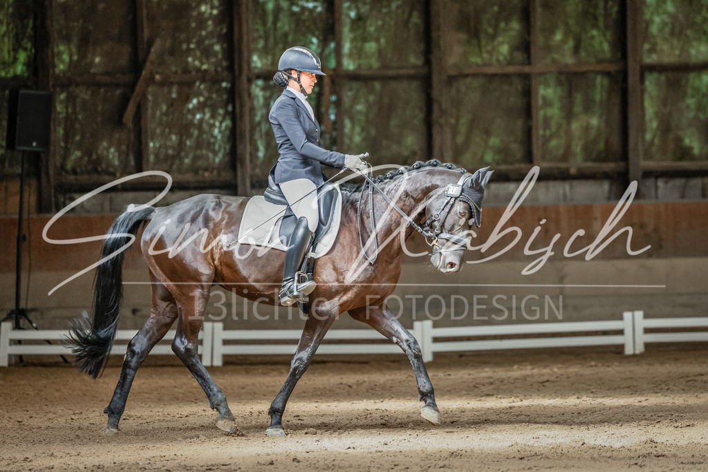 20250621-_3LI6165 | Tierfotografie Pferde, Hunde, Katzen, Haustiere.
Turnierfotografie Reitturniere, Reiten, Springreiten, Dressur in Hanau, dem Main-Kinzig-Kreis und dem Rhein-Main- Gebiet um Frankfurt