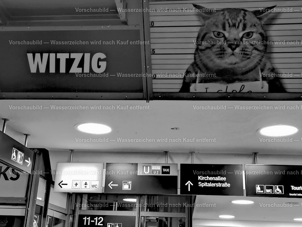 Hamburg-Hauptbahnhof | abends im Hauptbahnhof Hamburg - Realisiert mit Pictrs.com