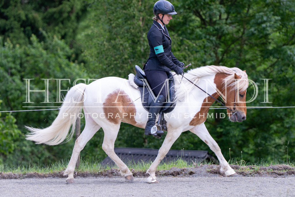 KAI01912 | Ihr sucht einen Fotografen für eure nächste OSI? Ich begleite auch euer Turnier für Islandpferde fotografisch.  - Realisiert mit Pictrs.com