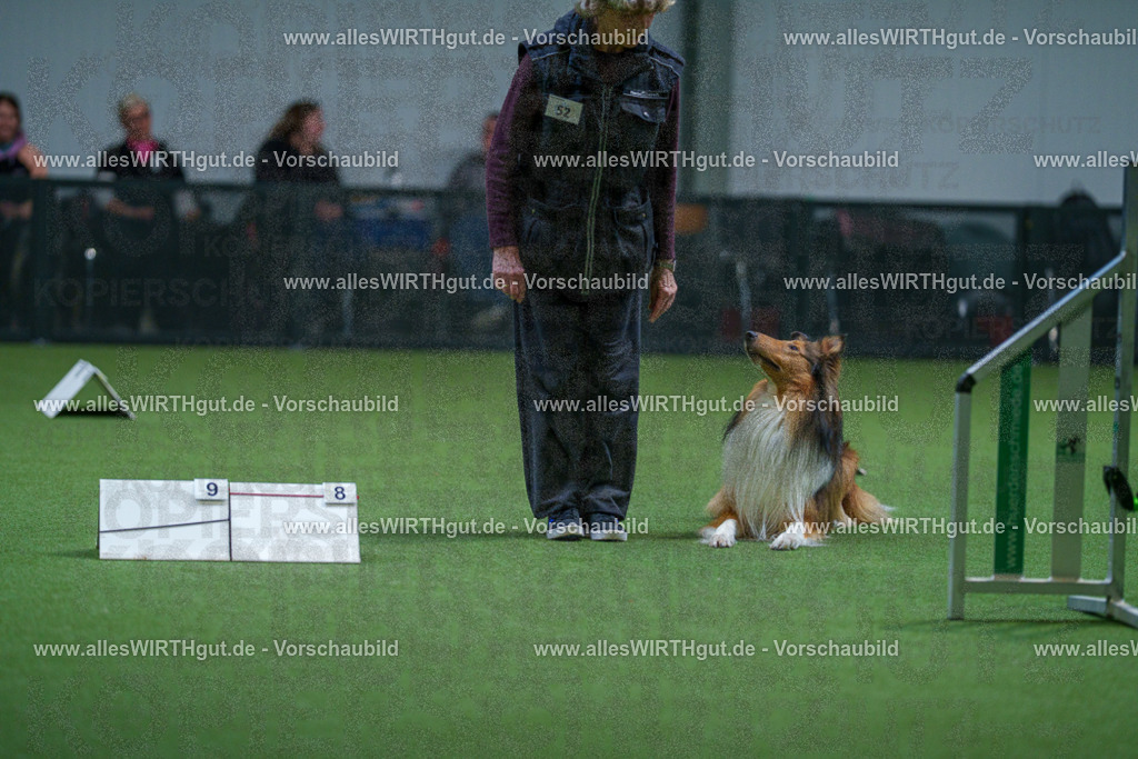 7R502114 | Professionelle Tierfotografie in Mönchengladbach von Daniel Wirth (allesWIRTHgut). Liebevolle & natürliche Bilder von Hunden & Katzen für unvergessliche Erinnerungen.