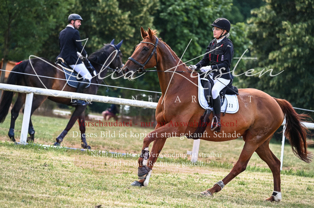 DSC_8450 | Pferde- und Turnierfotografie in Westsachsen. Pferdeportraits, Auftragszeichnungen und intuitive Kunst.