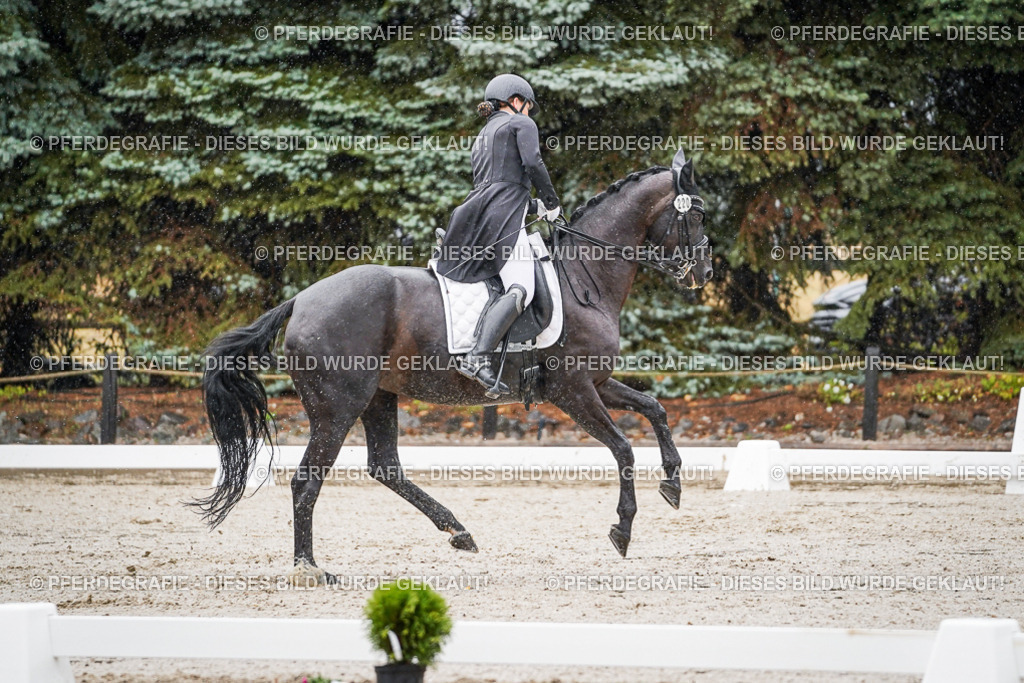 DSC08467 | Pferdegrafie