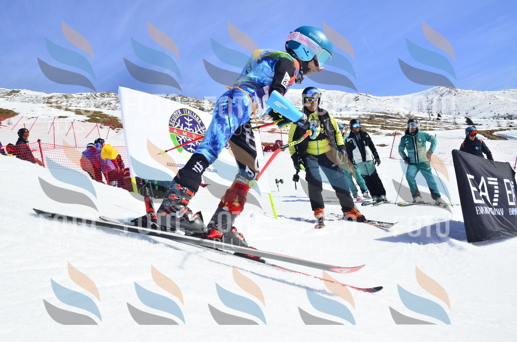 _ELE0606 | holidayphoto