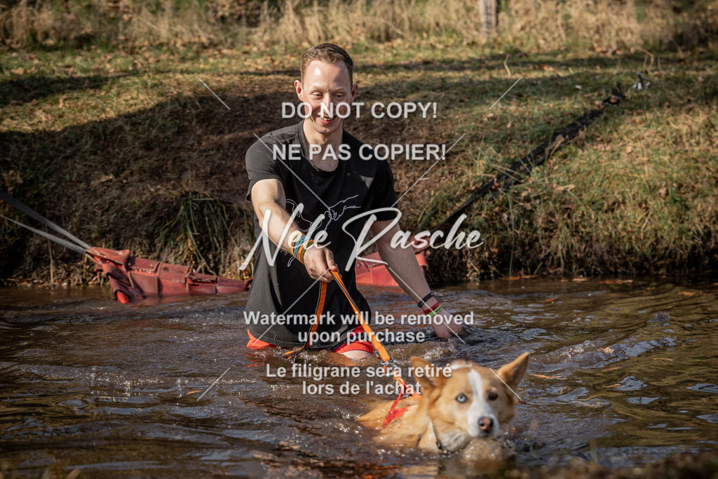 nelerasche_FS1330-1400_396 | nelerasche