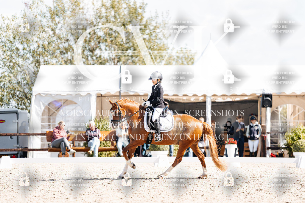 CK903082 | Turnierfotografie Pferdefotografie Trier Rheinland-Pfalz Pferdesport Reitsport Tierfotografie Sportfotografie Pferdevideo Pferdevideografie Equestrianvideography equestrianphotography  - Realisiert mit Pictrs.com