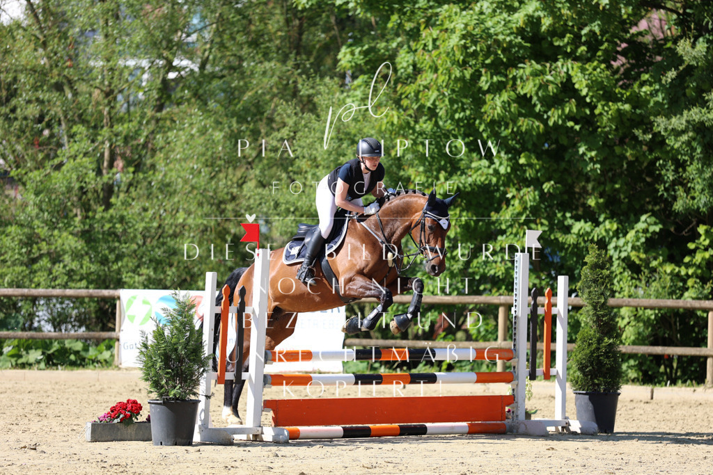 IMGS4900 | pl-fotografie