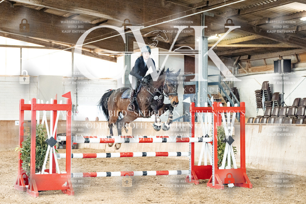CK906236 | Turnierfotografie Pferdefotografie Trier Rheinland-Pfalz Pferdesport Reitsport Tierfotografie Sportfotografie Pferdevideo Pferdevideografie Equestrianvideography equestrianphotography  - Realisiert mit Pictrs.com