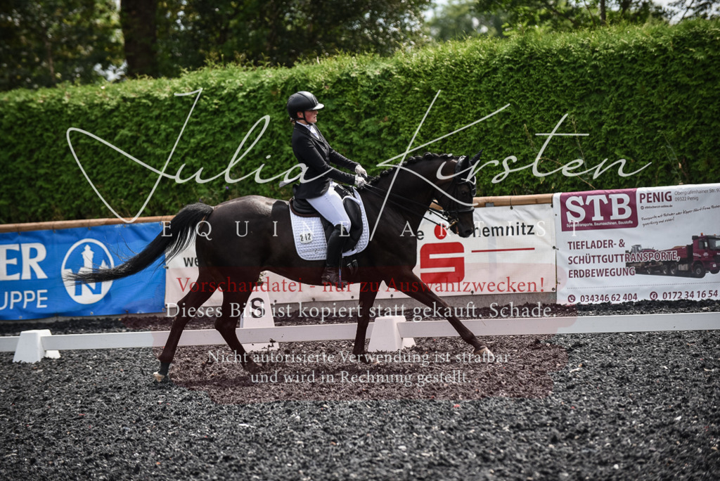 DSC_4813 | Pferde- und Turnierfotografie in Westsachsen. Pferdeportraits, Auftragszeichnungen und intuitive Kunst.