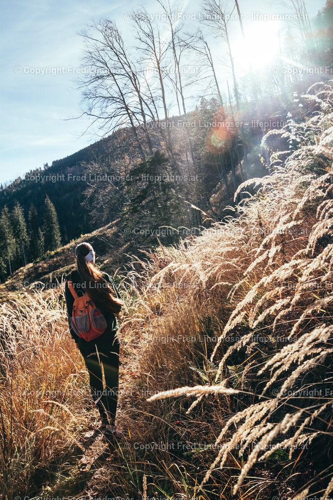 Bichleralpe-5813 | Fotos und Fotoprodukte - Realisiert mit Pictrs.com