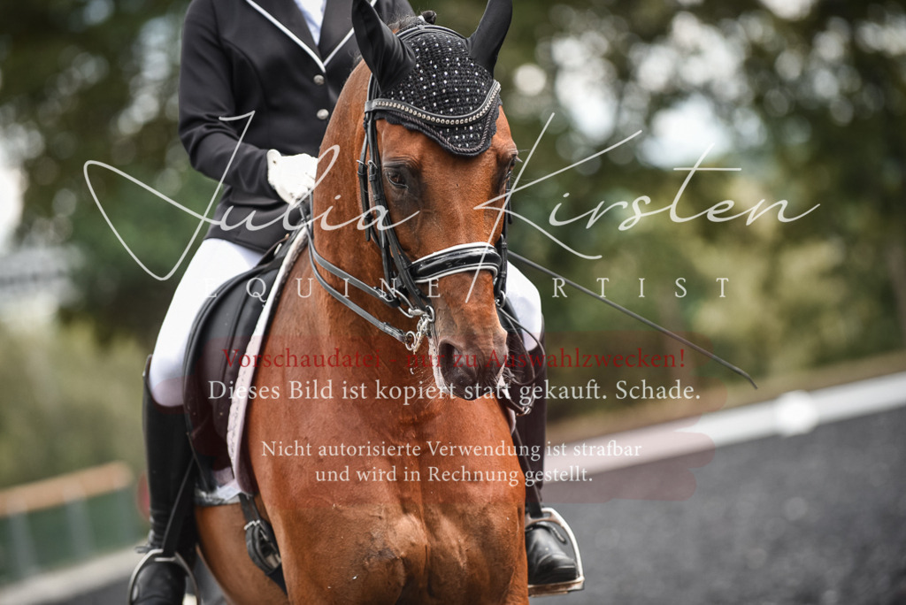 DSC_5005 | Pferde- und Turnierfotografie in Westsachsen. Pferdeportraits, Auftragszeichnungen und intuitive Kunst.