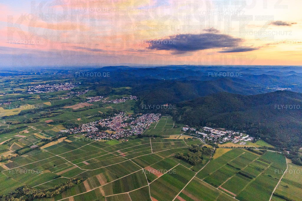 Winzerdorf im  Abendlicht am Rand des Pfälzerwalds aus Norden | Luftbild: Winzerdorf im  Abendlicht am Rand des Pfälzerwalds aus Norden in Klingenmünster im Bundesland Rheinland-Pfalz in Deutschland. Foto: IMG_115604.jpg vom 21.06.2019 durch Werner Riehm/FLY-FOTO.de - Realisiert mit Pictrs.com