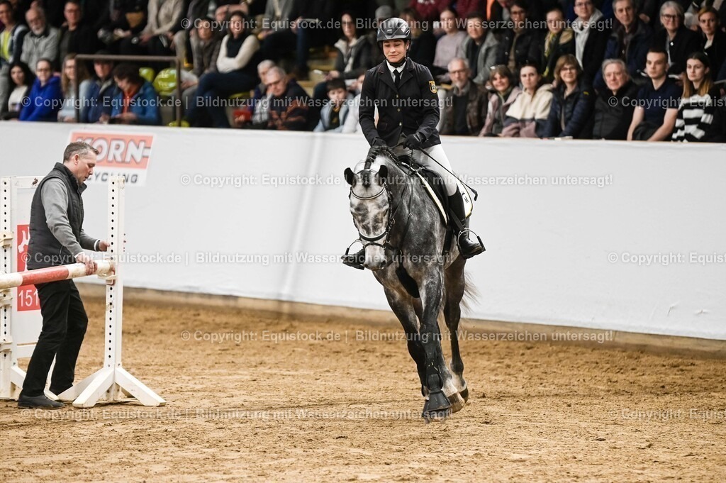 20260307_Hengstvorstellung-Marbach_0097 | equistock