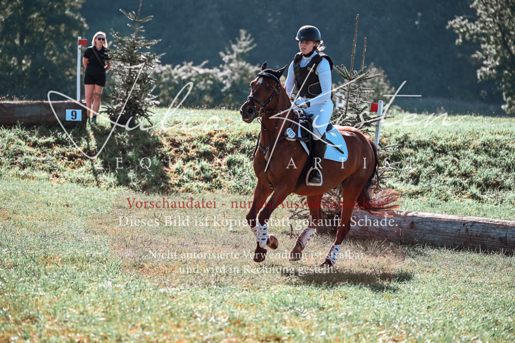 DSC_0618 | Pferde- und Turnierfotografie in Westsachsen. Pferdeportraits, Auftragszeichnungen und intuitive Kunst.
