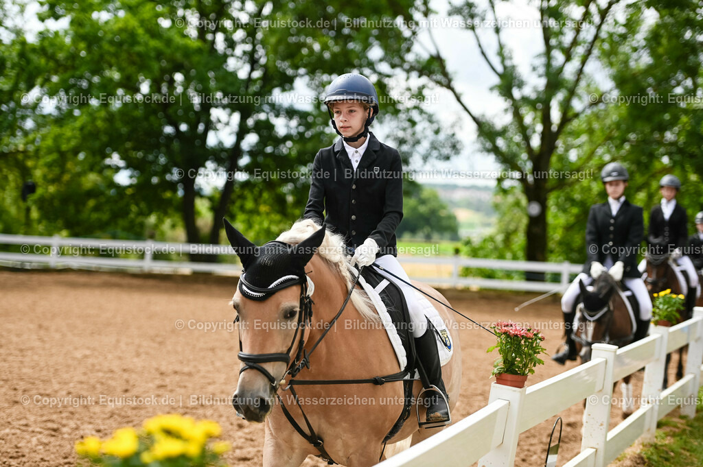 20230716_10-2_Reiter-WB Schritt - Trab - Galopp_0001 | equistock
