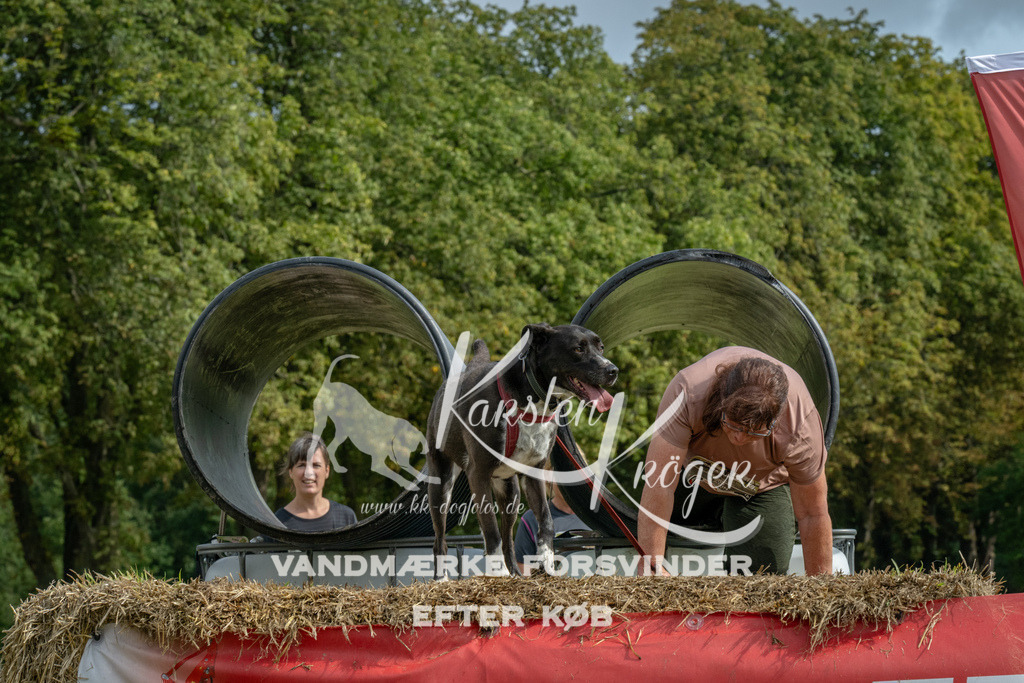 1141_ZZ90100 | kk-dogfotos