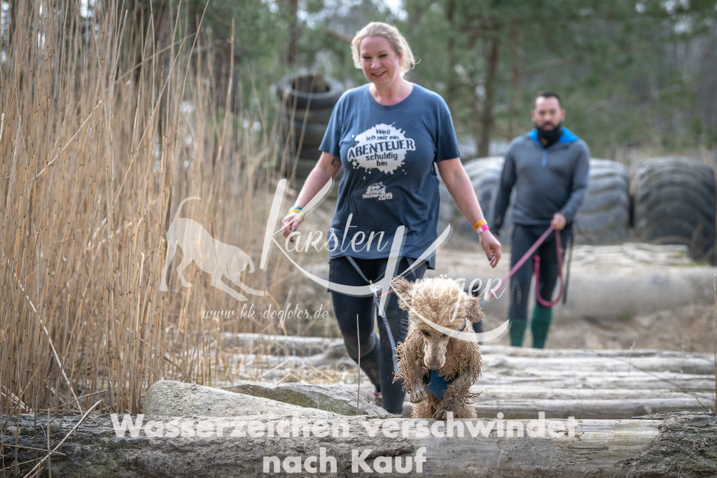 1120DSC_8647 | kk-dogfotos