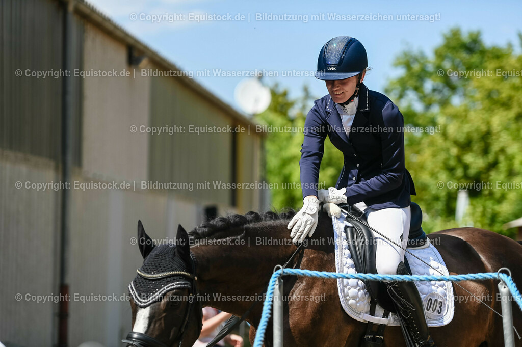 20230715_02_Dressurreiterprüfung Kl.L_0319 | equistock