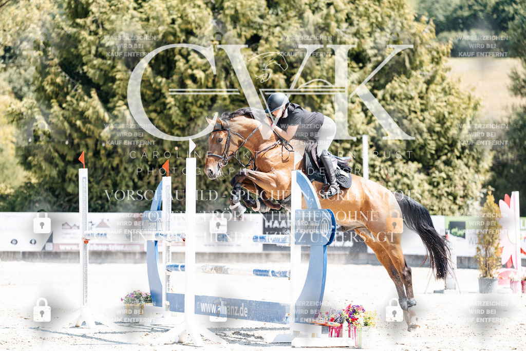 CK900573 | Turnierfotografie Pferdefotografie Trier Rheinland-Pfalz Pferdesport Reitsport Tierfotografie Sportfotografie Pferdevideo Pferdevideografie Equestrianvideography equestrianphotography  - Realisiert mit Pictrs.com