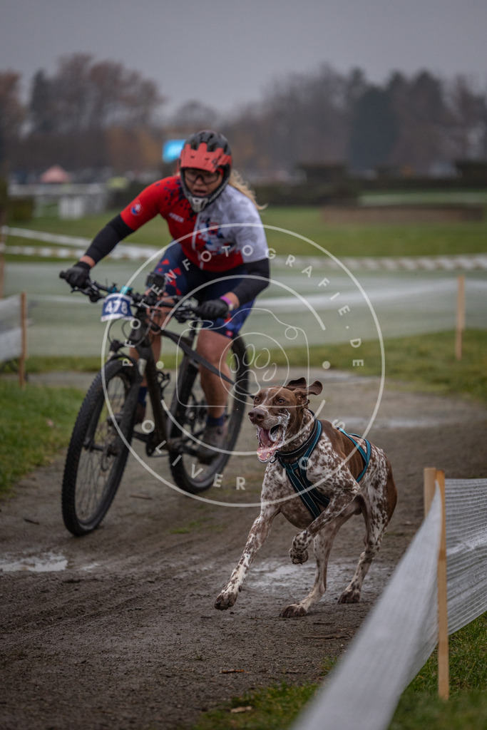 CaniXpix_0L8A1467 | Hundefotografie, Tierfotograf, Pfotenfotografie, Fotoshooting Hund, Hunde Portrait, Hundesport, Hundeportraits, Heideshooting, Hunde, Sportfotograf, Hundefotograf, Turnierhundsport, THS,  - Realisiert mit Pictrs.com