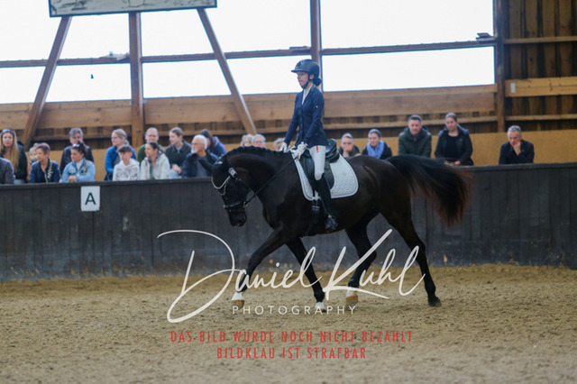 IMG_0430 | Turniersportfotografie; Pferdefotografie; Dressurfotografie