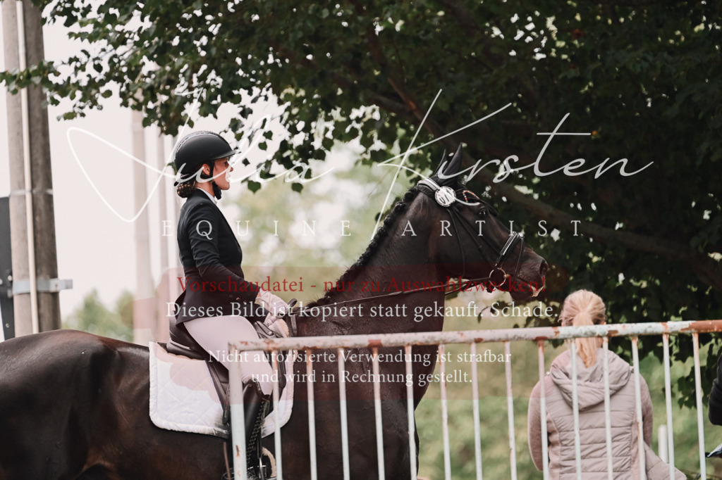 DSC_3670 | Pferde- und Turnierfotografie in Westsachsen. Pferdeportraits, Auftragszeichnungen und intuitive Kunst.