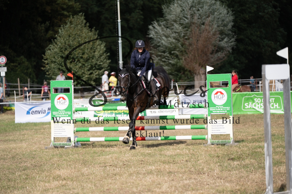 A7V09337 | Pferdefotograf