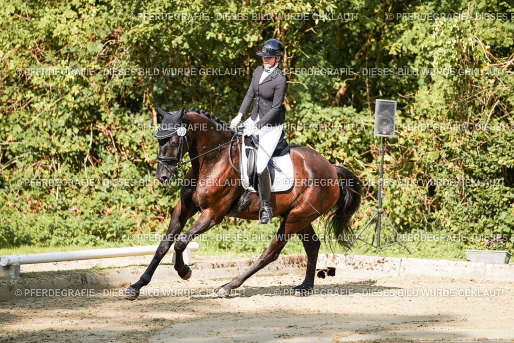 DSC08211 | Pferdegrafie