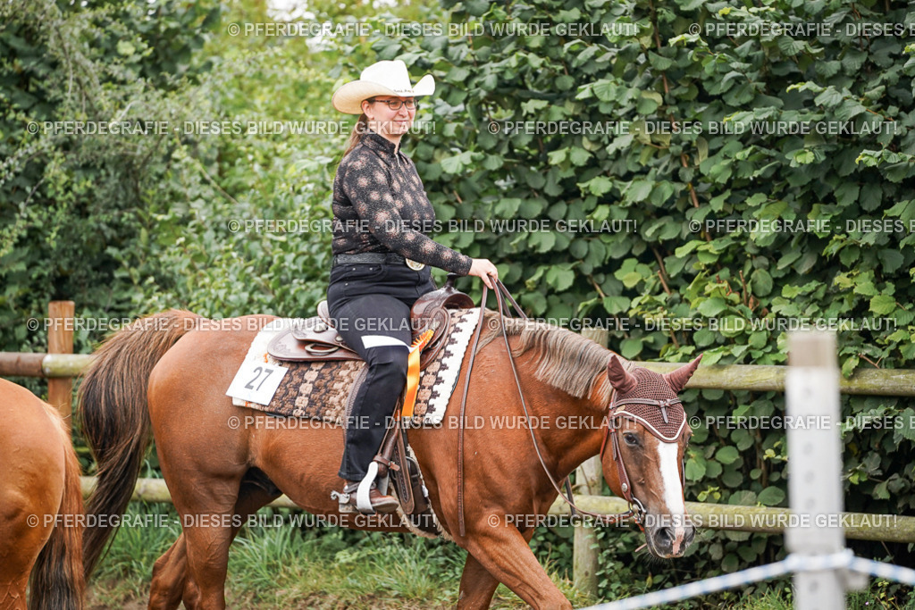 DSC03310 | Pferdegrafie