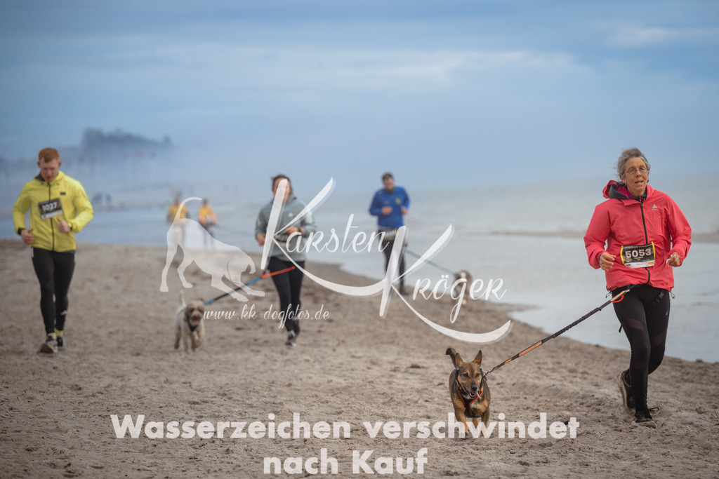 1146_ZZ90910 | kk-dogfotos