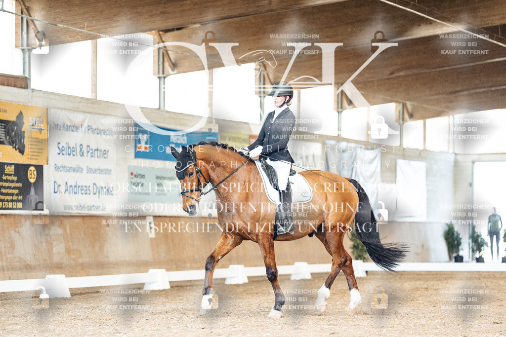 CK901032 | Turnierfotografie Pferdefotografie Trier Rheinland-Pfalz Pferdesport Reitsport Tierfotografie Sportfotografie Pferdevideo Pferdevideografie Equestrianvideography equestrianphotography  - Realisiert mit Pictrs.com