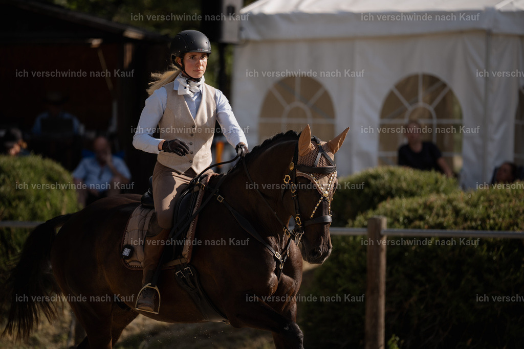 WS_SP_19_Stoibphotography_SO11813 | working equitationturnier fotograf videograf stoibphotography marixx film working equitation deutschland reitsport turnierfotografie eventfotografie equestrian events