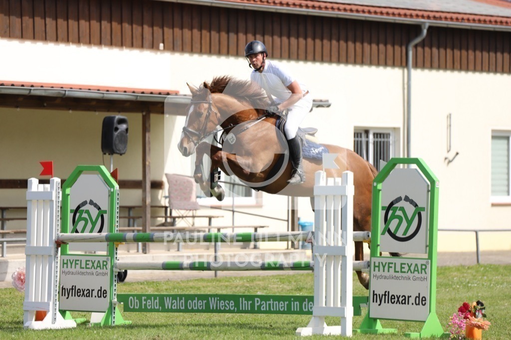 IMG_7102 | Pauline Ullmann Photography - Realisiert mit Pictrs.com