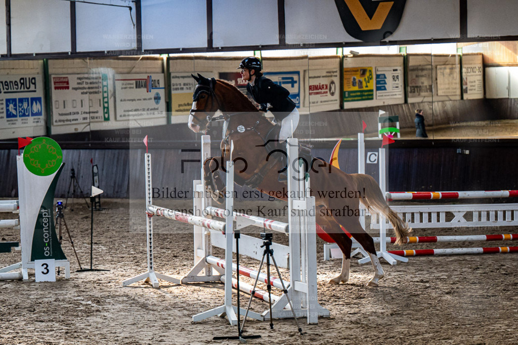 20240308-DOS_3010 | Entdecke hochwertige Reitturnierfotos von Foto Oger. Professionell, emotional und authentisch – jetzt Lieblingsmomente im Shop bestellen. - Realisiert mit Pictrs.com