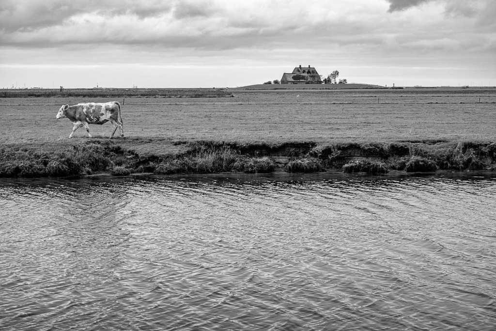 Hallig Hooge © Holger Rüdel | Der Online-Shop von Holger Rüdel. Ausgewählte Fotografien als FineArt-Prints bestellen: Bildreportagen, Landschaften, Wildlife, History, Infrarot-Motive in Schwarzweiß und Verschiedenes.  - Realisiert mit Pictrs.com