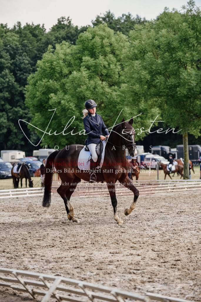 DSC_0097 | Pferde- und Turnierfotografie in Westsachsen. Pferdeportraits, Auftragszeichnungen und intuitive Kunst.