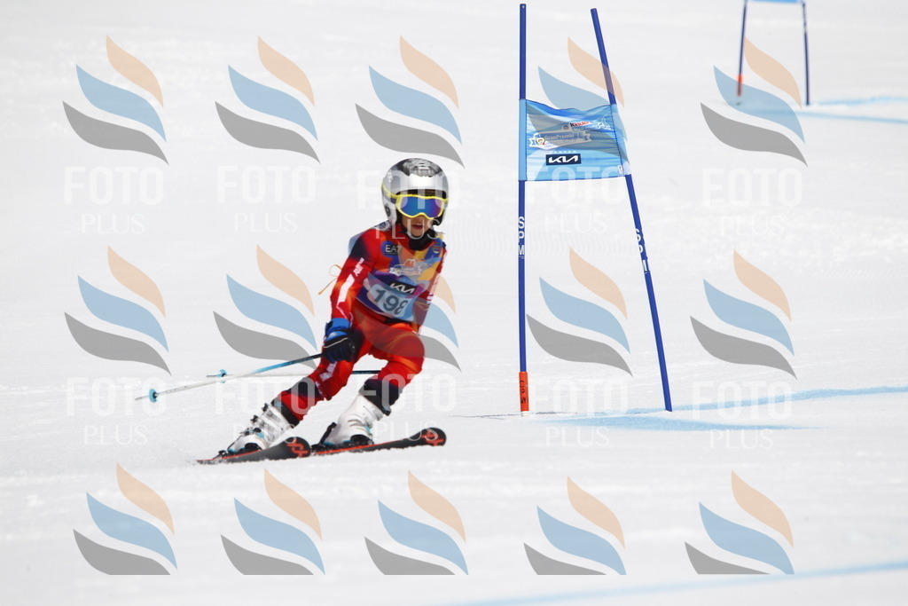 _U3G5157 | holidayphoto