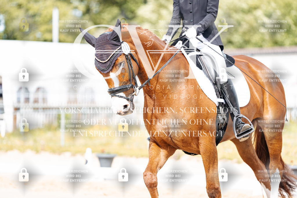 CK901110 | Turnierfotografie Pferdefotografie Trier Rheinland-Pfalz Pferdesport Reitsport Tierfotografie Sportfotografie Pferdevideo Pferdevideografie Equestrianvideography equestrianphotography  - Realisiert mit Pictrs.com